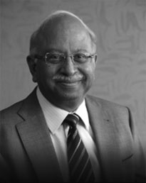 Dr. Saurabh Srivastava Executive Chairman